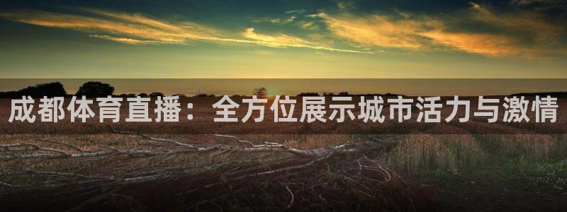 雨燕360直播nba直播