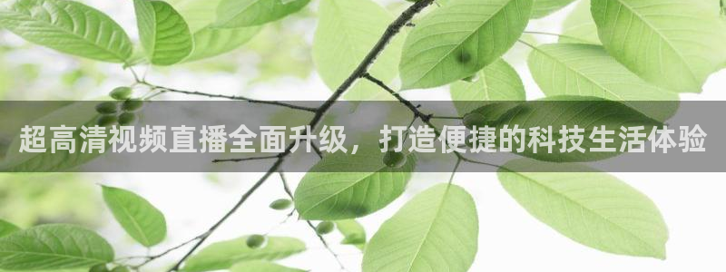 雨燕360直播下载