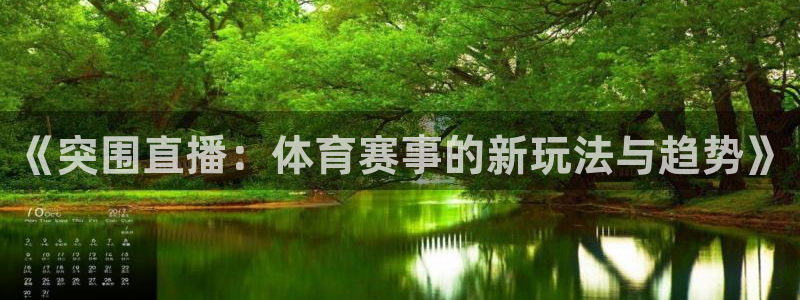 雨燕360直播高清nba