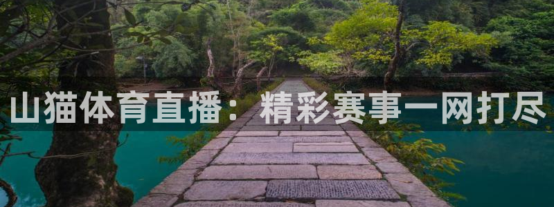雨燕360直播体育免费观看直播