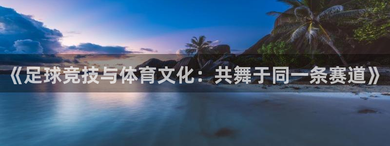 雨燕360直播nba在线观看