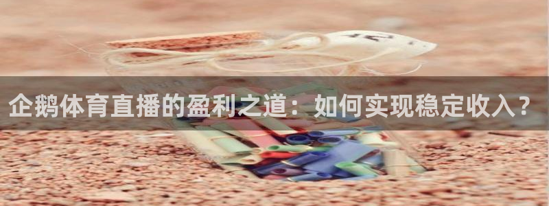雨燕360直播nba免费观看