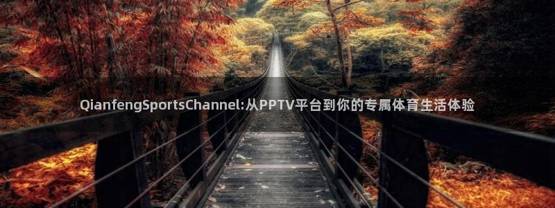 雨燕360直播下载