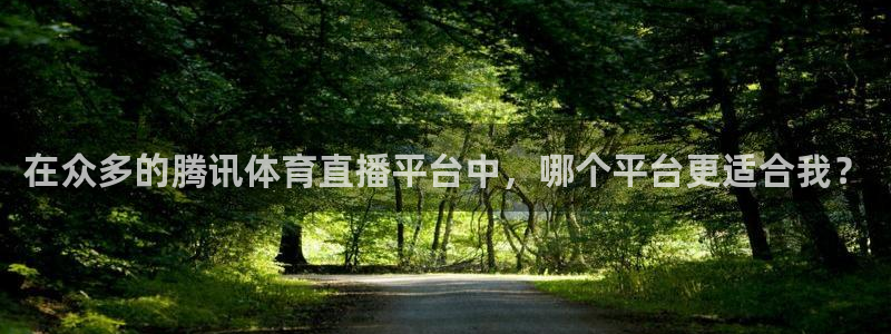 雨燕360直播