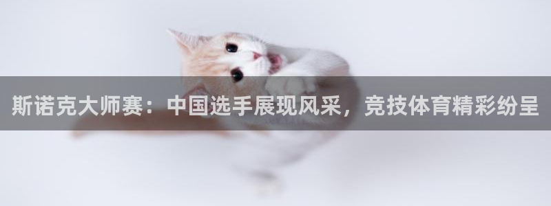 雨燕360直播入口