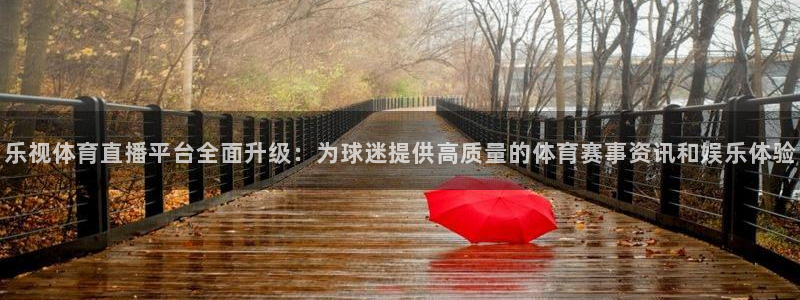 雨燕360直播nba在线观看