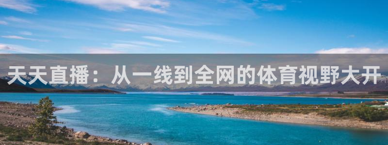雨燕360直播吧