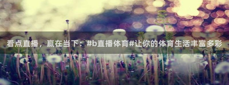 雨燕360直播nba在线观看