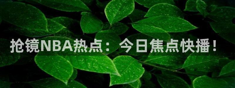 雨燕360直播体育下载