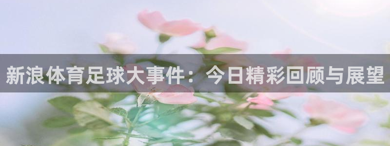 雨燕360直播足球直播在线直播