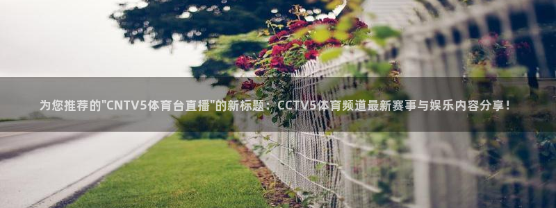 雨燕360直播nba直播时间表