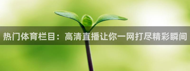 nba雨燕360直播